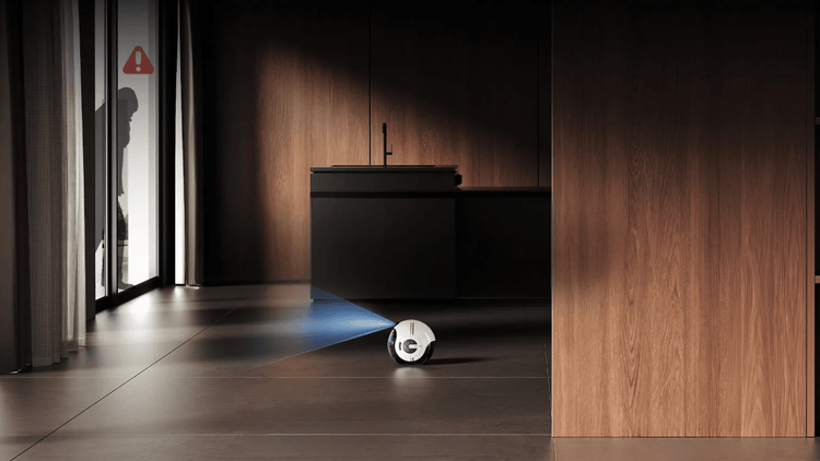 Smart Home Robots